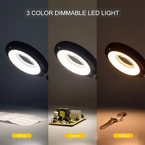 Remote Control Desk Lamp Clip Lamp Magnifying Glass Clip Dimming Desk Lamp 3 Colors for Reading Tattoo Computer