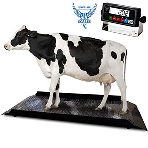 PEC-2KCS Large Livestock Scale for Cattle/Pig/Sheep, 4000x0.5lbs lb Animal Vet Scales Digital Weighing Equipment, Peak Hold Function