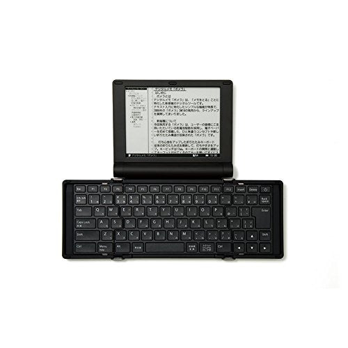 KINGJIM digital memo Pomela Silva - DM30 Sil (Japan Domestic genuine products)
