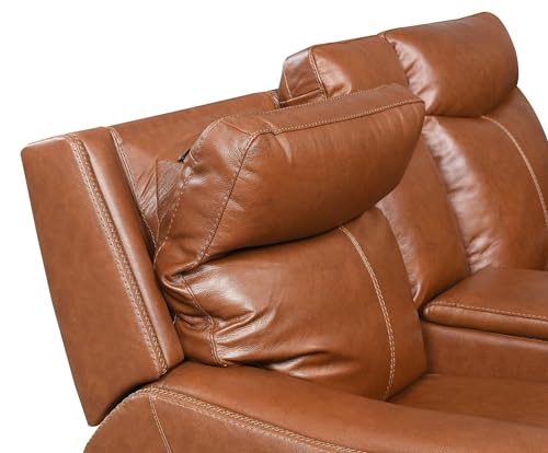Aienid Contemporary Style Motion Set Top Grain Leather Power Recliner with USB Charging