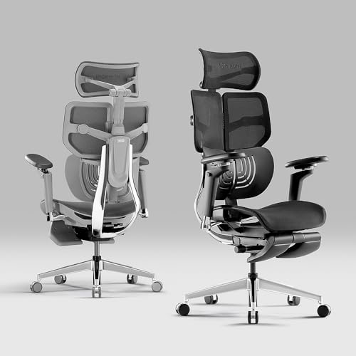 HINOMI X1 High Back Ergonomic Office Chair with Leg Rest, 6D Armrest, 4 Panel Backrest - Black