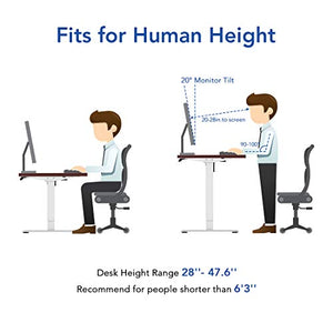 Flexispot EN1 48 x 30 Inch Electric Stand Up Desk Workstation, Ergonomic Memory Controller Standing Height Adjustable Whole-Piece Desk Top Base Primo(Gray Frame + 48" White Top)