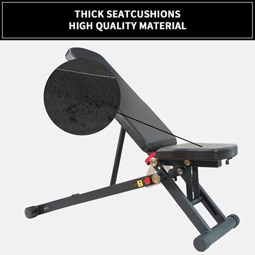DHT Foldable Weight Bench, Adjustable Strength Training Bench for Full Body, Workout Fast Folding Bench for Home, Gym