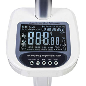 LJFDDY Digital Platform Scale with High-Definition LCD Display