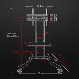 Generic TV Floor Stand with Tray Design