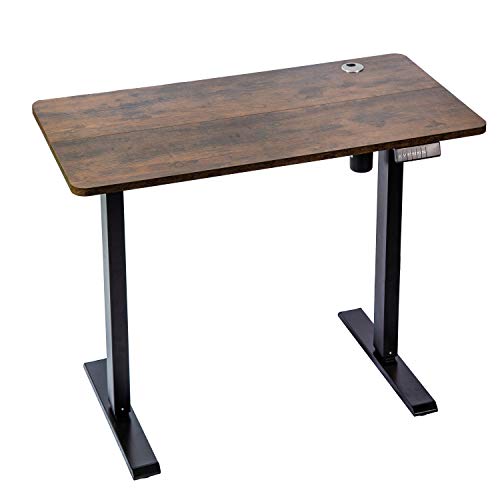 Egresel Ergonomic Electric Height Adjustable Standing Desk,48 x 24 Inch,Computer Desk & Workstation Table,Sit Stand Up Desk for Home & Office with 4 Memory Smart Control, Rustic Brown