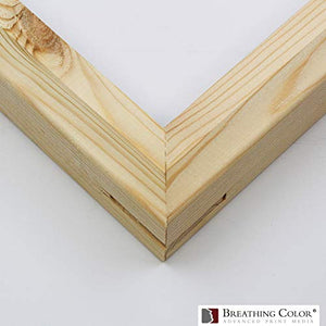 1.5" Deep Pre-Notched - 60", 30pk Stretcher Bars Measuring between Eight Inches & 72 Inches Long Crafted from Kiln-Dried Solid Pine Wood for Gallery Wraps of Your Photo Prints or Artwork For Display"