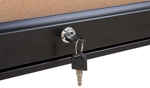Black Aluminum Enclosed Corkboard Displays (18) 8-1/2 x 11-Inch Pages, Locking Swing-Open Style Door, with Rubber Gasket for Indoor Or Outdoor Use