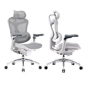 SIHOO Doro C300 Pro Ergonomic Office Chair with 6D Armrests, Lumbar Support, Seat Depth Adjustment - Grey