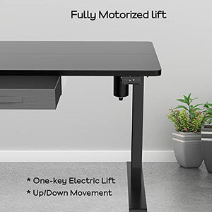 Electric Height Adjustable Standing Desk, 48 x 24 Inch Stand Up Desk Workstation with Desktop (03, Black)