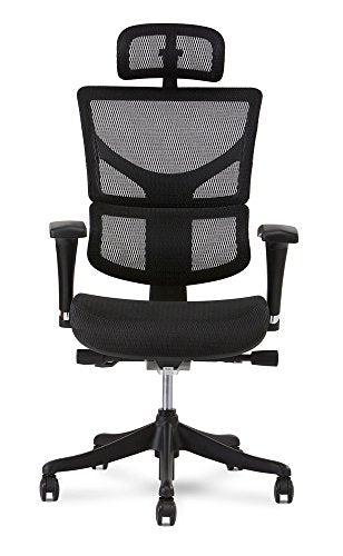 X Chair X1 Task Chair, Black Flex Mesh with Headrest