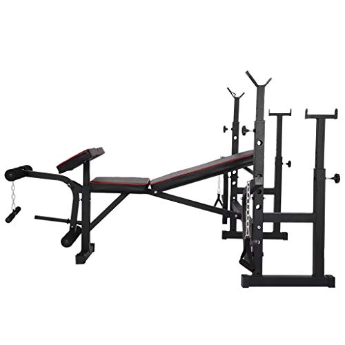 Weight Bench Multifunctional Bench Press Barbell Dumbbells Storage Rack Folding Squat Rack Adjustable Strength Training Bench for Full Body Workout Machine 800 Lbs Load (Black)