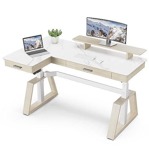 EUREKA ERGONOMIC Electric Standing Desk with Dual Drawers, 63" Height Adjustable L-Shaped Office Desk