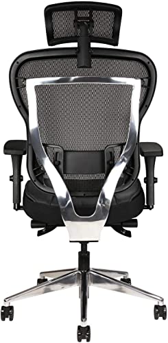 Oak Hollow Furniture Aloria Series Ergonomic Executive Office Chair Genuine Leather Seat Cushion Mesh Back Adjustable Lumbar Support Swivel Tilt High-Back (Black, Tall, Headrest)