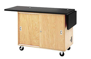 Diversified Woodcrafts Mobile Science Lab Unit with Rod Sockets, Oak Wood, 48"x36"x24