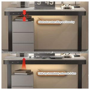 SanzIa Electric Standing Desk, Adjustable Height Computer Workstation with USB and 4 Memory Keyboard