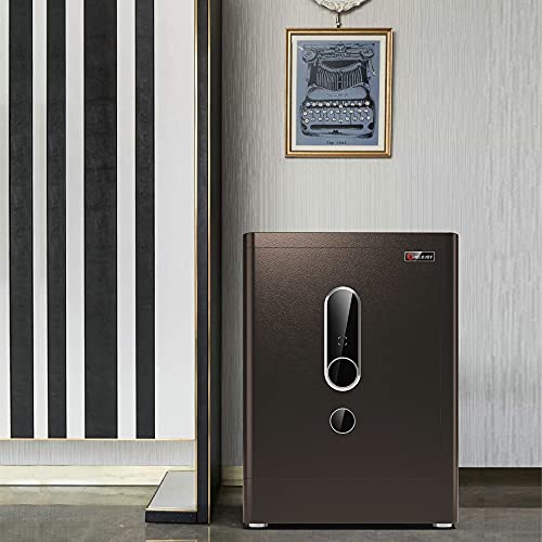 HOLOJOY Biometric Fingerprint Home Safe Box for Money Office Personal Safe with Emergency Key Lock Electronic Keypad Touch Screen Security Money Documents Valuables Safe Box (4 Cubic Feet)