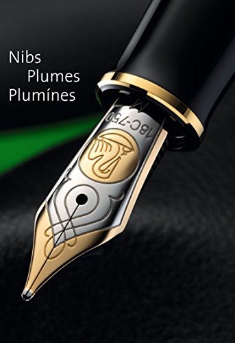 Pelikan Souver?n M400 Plunger Fountain Pen - Black/Green