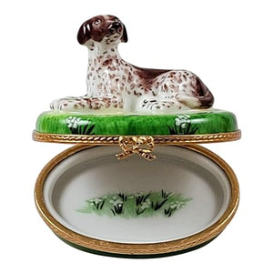 LIMOGES BOUTIQUE FINE FRENCH PORCELAIN German Short Haired Pointer Dog Figurine