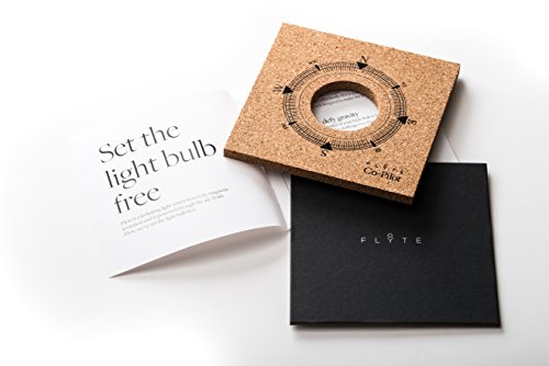 FLYTE Levitating LED Light Bulb with Oak Wood Base