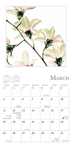 Flower Spirits: Radiographs Of Nature By Steven N. Meyers 2018 Wall Calendar (CA0134)