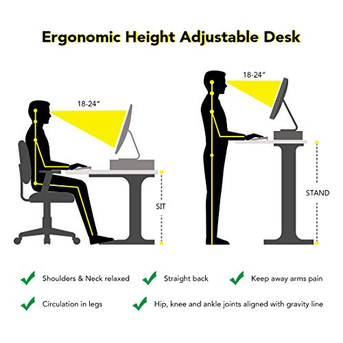 55 inch Electric Height Adjustable Standing Desk, Large Sit Stand Up Desk Computer Workstation,Home Office Table with Memory Controller (White Desk Leg/White Desktop)