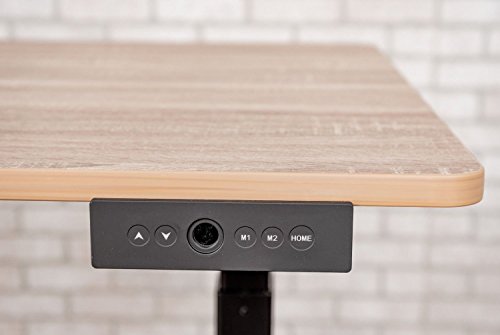 Luxor 48" W Dual Motor 3 Stage Electric Stand Up Desk - White Oak