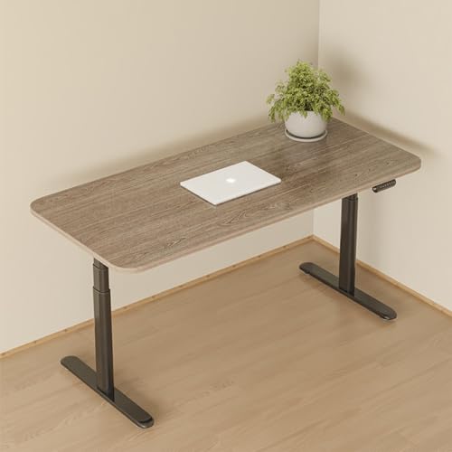 SanzIa Electric Sit Stand Desk, Height Adjustable Standing Desk, Dual Motor, 264lbs Capacity, Memory Presets, USB & Child Lock (Style 2, 120x60x61-126cm)