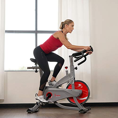 Sunny Health & Fitness AeroPro Indoor Cycling Bike - SF-B1711, Grey