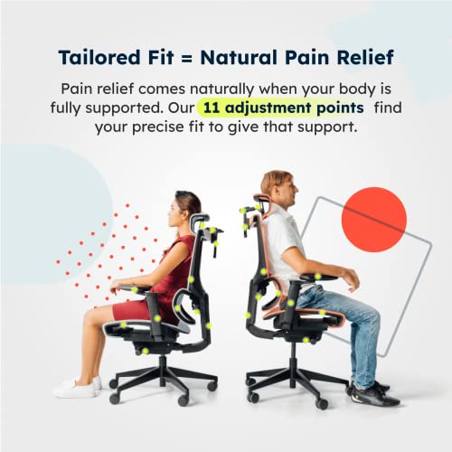 ErgoTune Supreme Ergonomic Office Chair - Adjustable Backrest, Lumbar Support, Headrest, 5D Armrests - High Back Breathable Mesh Recline (Charcoal Black)
