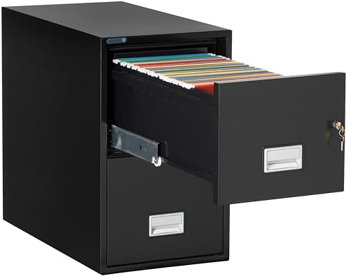 PHOENIX SAFE INTERNATIONAL LLC Vertical 31" 2-Drawer Letter Fireproof File Cabinet, Key Lock, Water Seal, Black LTR2W31B