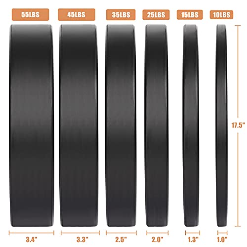 PINROYAL Bumper Plates 10LB 45LB Set, Olympic Weight Plates with 2 inch, Rubber Barbell Weight to Protect Floor, Smooth Strength Training Plates to Protect Bar from Scratches, Pair