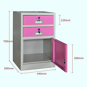 noxozoqm Metal Locker File Cabinet with Lock for Office Storage (Size: B)