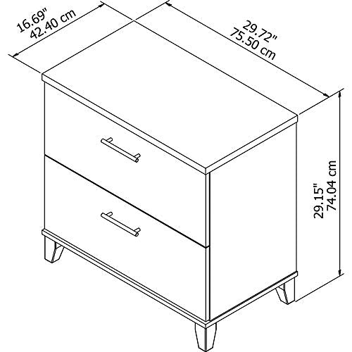 Bush Furniture Somerset 2 Drawer Lateral File Cabinet in Mocha Cherry | Home Office Document Storage