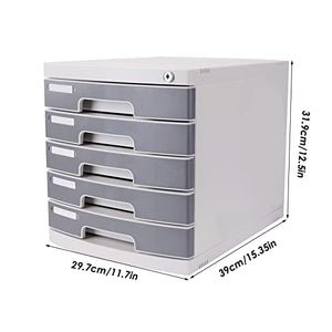 FPIGSHS Desktop Drawer Cabinet with Lock, 5 Drawer Flat File Storage Organizer