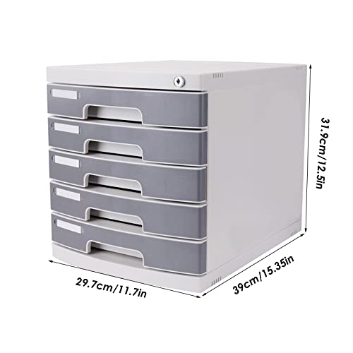 FPIGSHS Desktop Drawer Cabinet with Lock, 5 Drawer Flat File Storage Organizer