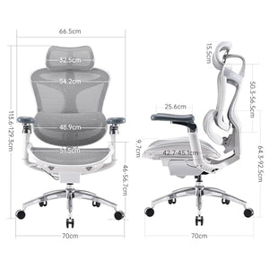 SIHOO Doro C300 Pro Ergonomic Office Chair with 6D Armrests, Lumbar Support, Seat Depth Adjustment - Grey