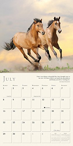 The Spirited Horse 2018 Calendar