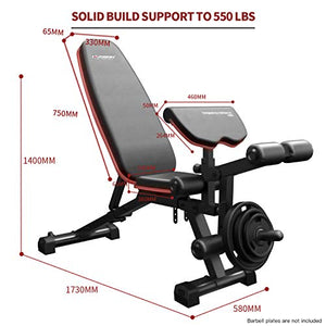 HARISON Weight Bench Adjustable with Preacher Pad and Leg Extension Full Body Workout Incline Decline Exercise Workout Bench for Home Strength Workout (Updated Version)