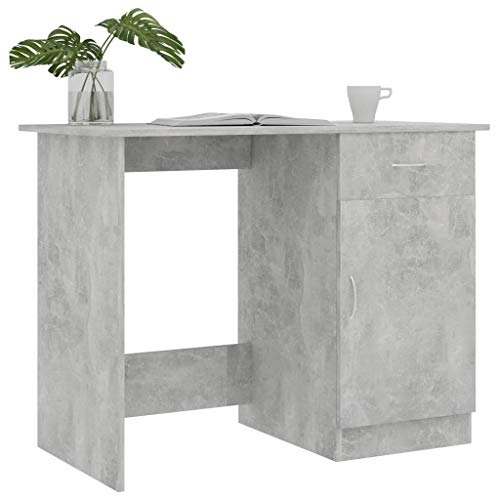 Canditree Modern Writing Desk with Storage Drawer and Cabinet, Computer Desk Workstation for Home Office (Concrete Gray)