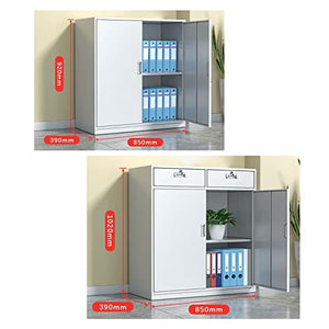 Lingula Vertical File Cabinet with Printer Storage and Lock - Office, Living Room, Bedroom, Kitchen - Color: B