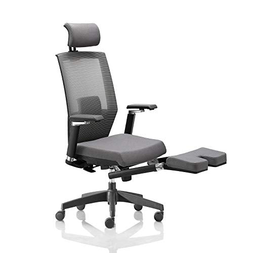 AMILZ Ergonomic Office Chair, Adjustable Chair with Lumbar Support, High Back Breathable Mesh, Thick Cushion Seat, Adjustable Headrest, Armrests and Seat, Footrest with Soft Cushion