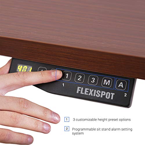 FlexiSpot E1S-R5528N Electric Height Adjustable Desk Home Office Standing Desk(Gray Frame +55 inch Mahogany Top)