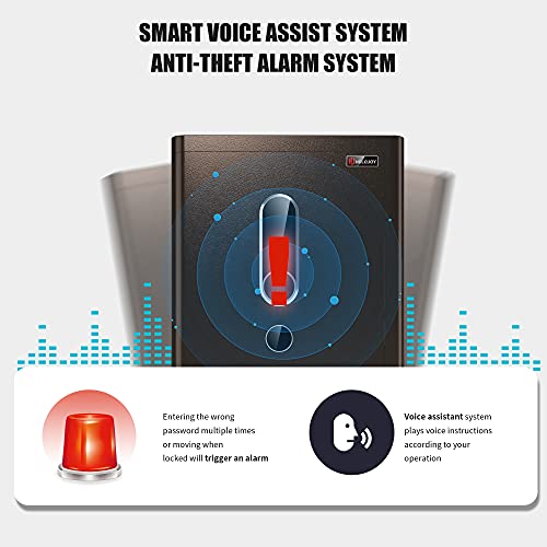 HOLOJOY Biometric Fingerprint Home Safe Box for Money Office Personal Safe with Emergency Key Lock Electronic Keypad Touch Screen Security Money Documents Valuables Safe Box (4 Cubic Feet)