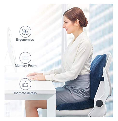 HHWKSJ Memory Foam Seat and Lumbar Cushion Combo - Gel Infused - Coccyx & Tailbone Support