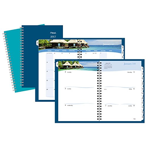 Mead Weekly / Monthly Planner / Appointment Book 2017, 5-1/2 x 8-1/2", Color Selected For You May Vary (TLD385-10)