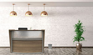 Linea Italia Curved Office Clear Panel Reception Desk Counter | 72" x 32" Walnut
