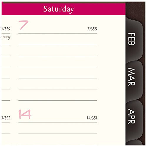 AT-A-GLANCE Weekly / Monthly Appointment Book / Planner 2017, Sorbet, 8-1/4 x 10-7/8" (794-905)