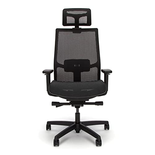 HON Ignition 2.0 Ergonomic Mesh Office Chair with Headrest - High Back, Adjustable Lumbar Support, Armrests, Synchro-Tilt Recline - Black