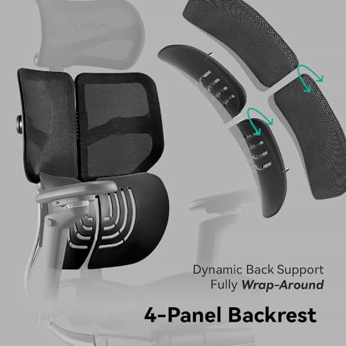 HINOMI X1 High Back Ergonomic Office Chair with Leg Rest, 6D Armrest, 4 Panel Backrest - Black